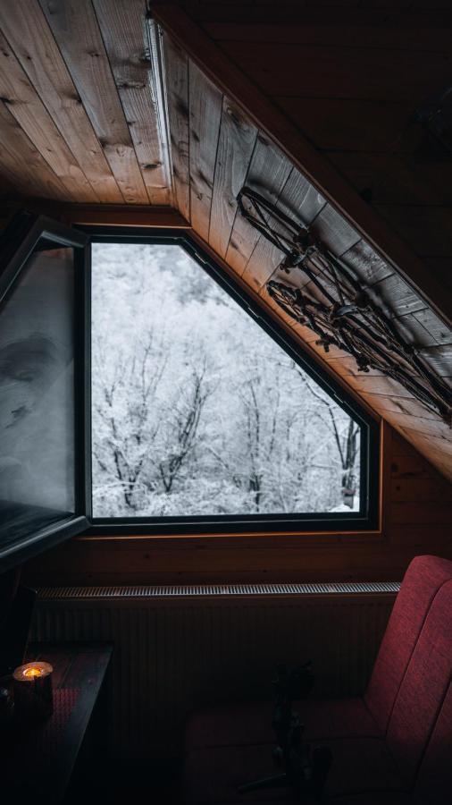 Apartman Pustolov - Stara Planina Crni Vrh Exteriér fotografie