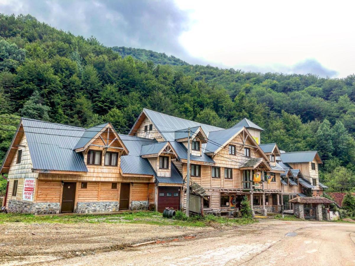 Apartman Pustolov - Stara Planina Crni Vrh Exteriér fotografie